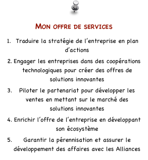 Mon offre de services
Traduire la stratégie de l’entreprise en plan d’actions
Engager les entreprises dans des coopérations technologiques pour créer des offres de solutions innovantes
Piloter le partenariat pour développer les ventes en mettant sur le marché des solutions innovantes 
Enrichir l’offre de l’entreprise en développant son écosystème
Garantir la pérennisation et assurer le développement des affaires avec les Alliances